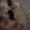 k_m_r_2556