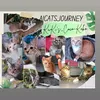aicatsjourney