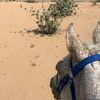 3bood_aa