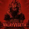 valayvegeta