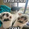 bio_terr88