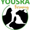yousrafarming