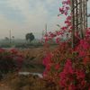 esraamahmoud7426