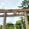 timorex_jinpachi3