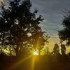 s.chimpan_140953