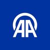 Anadolu English
