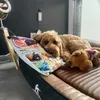 lotti_karottie0