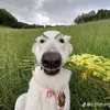 muononhachoifefe