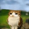 .meowl.n0.67