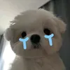 mlanchuaii