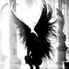 vi_premium