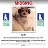 findingalbi.backup