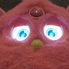 aam_furbies