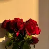 ibtissam_119
