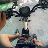 npsdang08