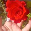 asmaa.ramadan410