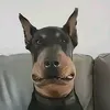 tepniv4