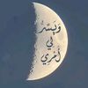enas.kg6