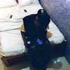 sunny_dc_official