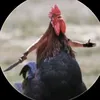lostervogelxxx