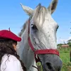 sofialamochita