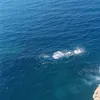 rayanmarouane8
