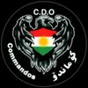 karo_jaf6