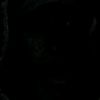 _il._.leo_