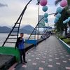 budi.dohaling