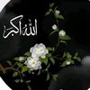 babakishehzadi090