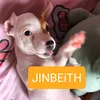 jinbeith