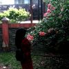 qila_shi0ko