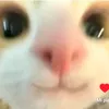kekekekekka