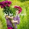 akramnajm300