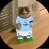 fanmancity768
