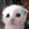 伊万里