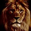 jah_570