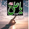 shams_assel2