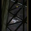 tm_sh9