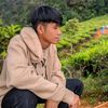 asepalfianto29
