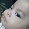 belis_cibel