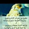 rrajallah.alharth