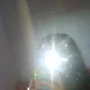 laryssa_zx7