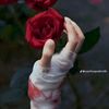 noor278836