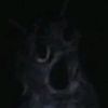 fauust_