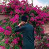 mrhafee8