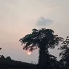 nguoirung102