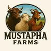 mustaphalivestockfarm