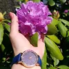 setayesh_5567