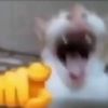 jomcm33